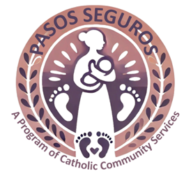 Pasos seguros icon